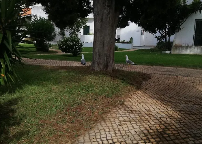 Vilamoura Alecrim
